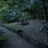 Picnic Table