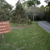 Road to Cabins