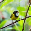 Birders Paradise