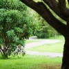 Beautiful Gardens