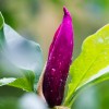 Beautiful Gardens