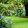 Romantic Picnic Spots