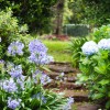 Beautiful Gardens