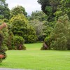 Plenty of open space to relax