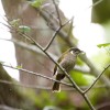 Birders Paradise